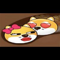 Doge Love Collect